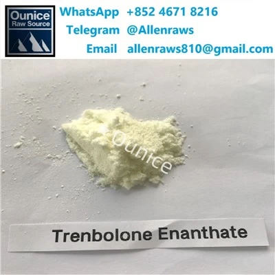 Kupte si Trenbolon Enanthate Chinese High{0}}Pure Steroid Powder